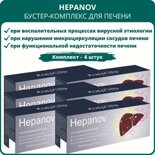 Hepanov KapsОila - бустер-комплекс для печени, 10 капсул, набор 6 штук фото