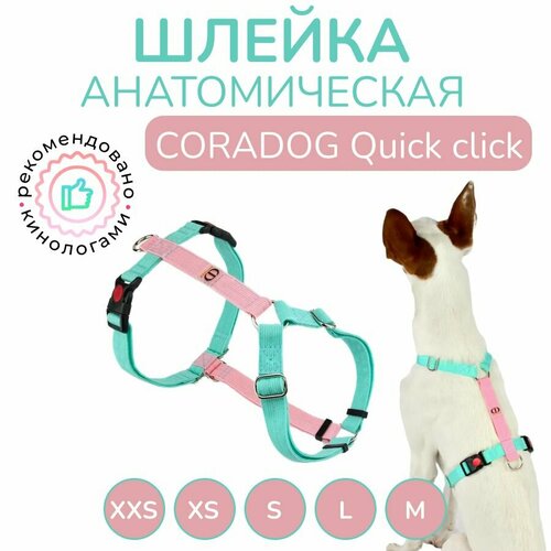 Шлейка прогулочная анатомическая для мелких пород собак и кошек, CORADOG Quick click, размер XXS, цвет розовый, мятный фото