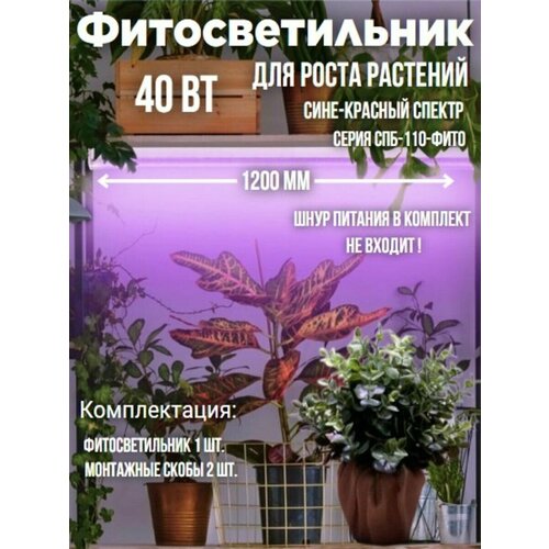 Светильник светодиодный СПБ-110-ФИТО сине-красный спектр 40Вт 1200мм IN HOME фото