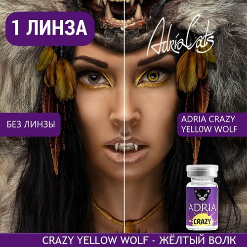 Контактные линзы ADRIA Crazy, 1 шт., R 8,6, D 0, ADD: средняя, yellow wolf, 1 уп. фото