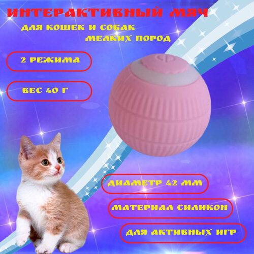 Интерактивный мяч Automatic Cat Teaser Ball для кошек и собак фото