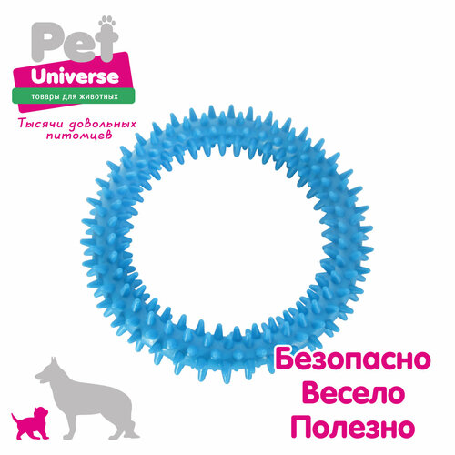 Игрушка для собак Pet Universe колечко с шипами диаметр 12,5 см, ТПР, синий, PU3064BE фото