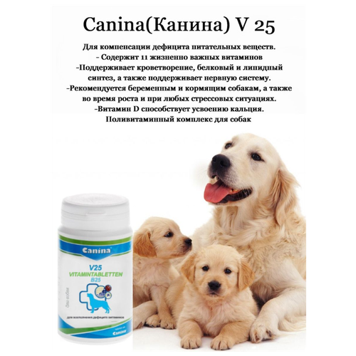 Добавка в корм для собак Canina V 25 (200г/60 таб) фото