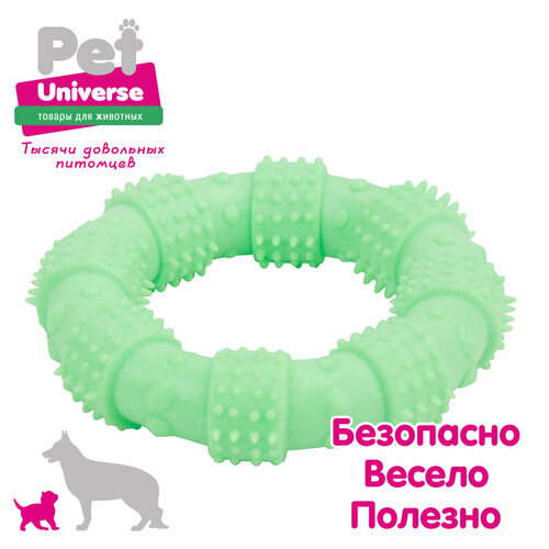 фотография Игрушка для собак Pet Universe многофактурное кольцо с пупырышками 12х3 см, ТПР, зелёный, PU3062GN, купить за 367р