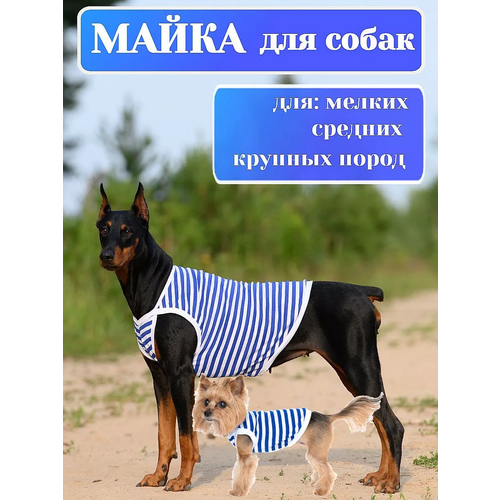 Майка для собак 