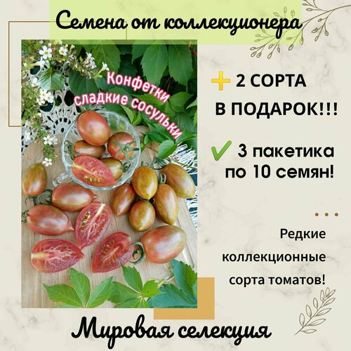 Томат Конфетки Сладкие Сосульки, коктейльный, мировая селекция, коллекционный сорт фото