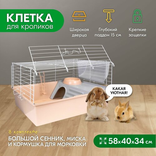 Клетка для кроликов PetTails №1 складная, шаг прута до 25мм, 58*40*h34см (+миска, 2 кормушки) беж-бел фото