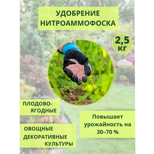 Нитроаммофоска удобрение, 2.5 кг фото