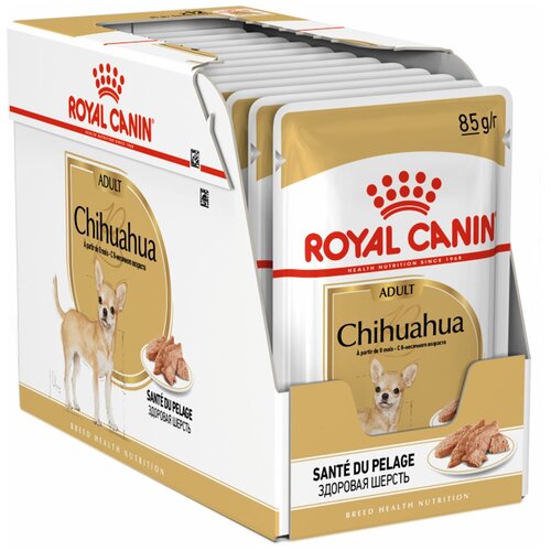 фотография ROYAL CANIN CHIHUAHUA ADULT для взрослых собак чихуахуа паштет (85 гр х 12 шт), купить за 1450р