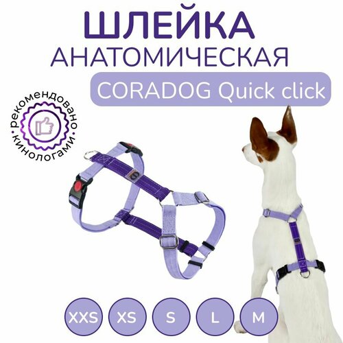 Шлейка прогулочная анатомическая для средних пород собак, CORADOG Quick click, размер S, цвет сиреневый, фиолетовый фото