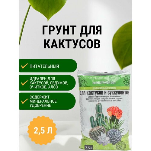 Грунт для Кактусов и Суккулентов 2,5 л фото