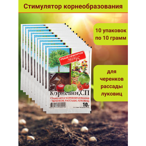 Корневин, стимулятор образования и роста корней 10 г, в комплекте 10 упаковок по 10 г. фото