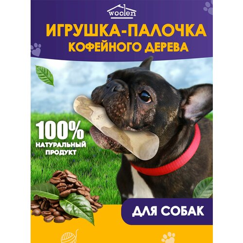 Игрушка палочка кофейного дерева фото