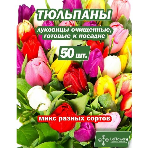 Тюльпан Луковица, Микс сортов, 50шт (LeFlower) фото