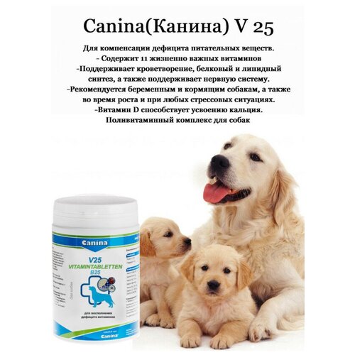 Добавка в корм для собак Canina V 25, 700г/210 таб фото