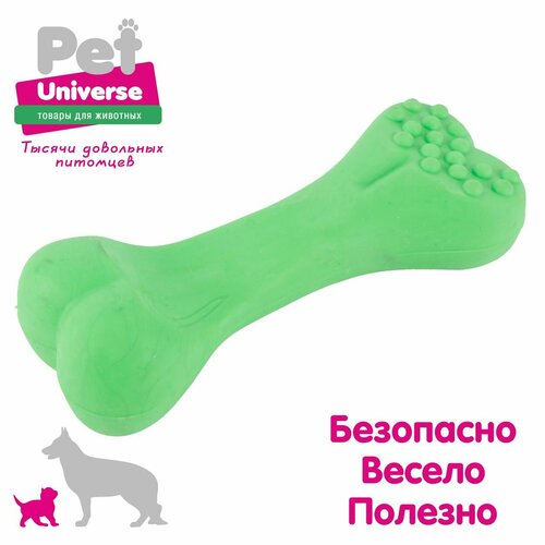 Игрушка для собак Pet Universe косточка с пупырышками, 12 см, ТПР, зелёный PU3071GN фото