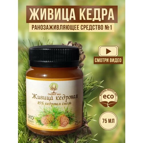 Живица кедровая 85% ранозаживляющее средство №1 фото