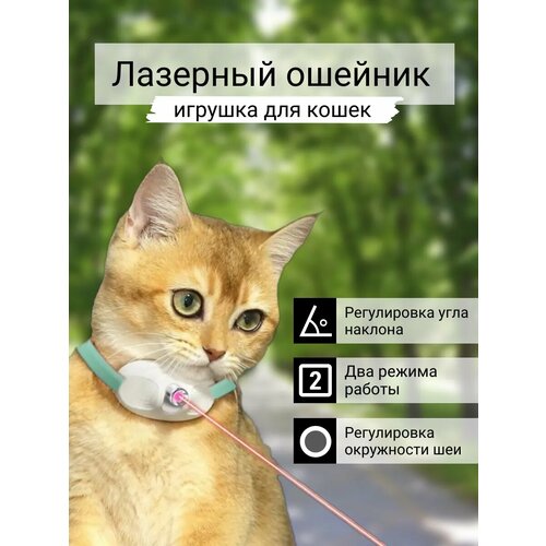 Игрушка для кошек интерактивный лазерный ошейник фото