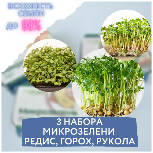 Микрозелень 3 набора для выращивания микрозелени горох/редис/рукола (3 контейнера с семенами микрозелени и минераловатным субстратом) фото