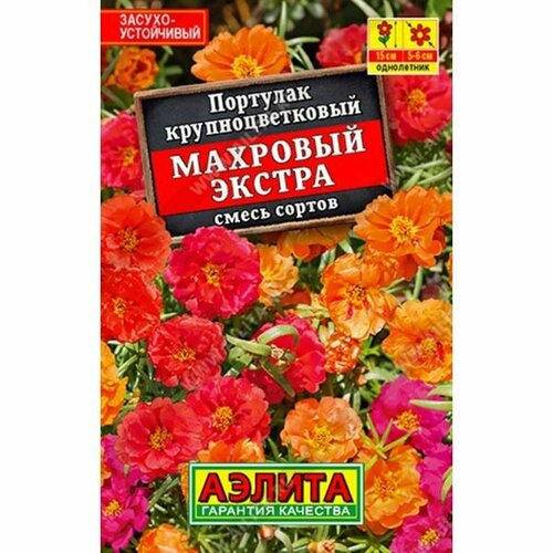 Семена Портулак Экстра, махровый, смесь сортов (однолетние) ЛД (Аэлита) 0,1г фото