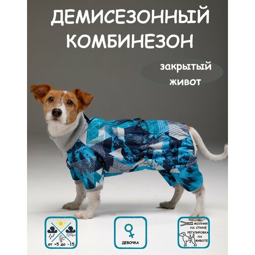 Комбинезон для собак DOGMODA Классик девочка мята размер 4 фото