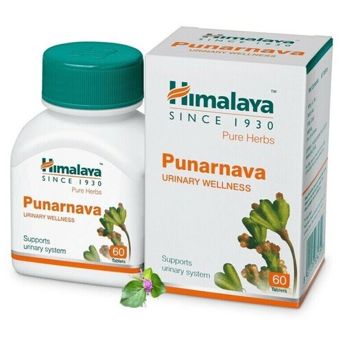 Пунарнава Himalaya Wellness Pure Herb 60 таб. фото