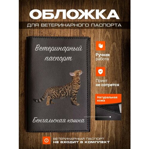 Обложка на ветеринарный паспорт для кошек с принтом Бенгальская кошка фото