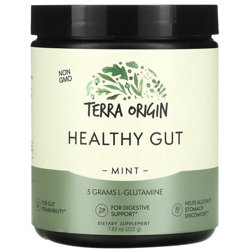 Terra origin, healthy gut, добавка для нормализации функции желудочно-кишечного тракта, вкус мята, 222 гр фото