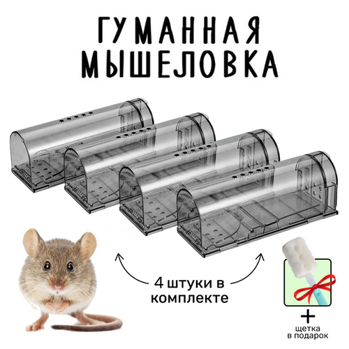 Мышеловка гуманная, живоловка для дома и дачи (ловушка для мышей и кротов), пластиковая, комплект из 4 штук, серая фото