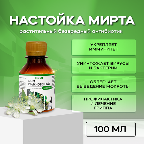 Настойка Мирта (экстракт из листьев) 100 мл, Растительный безвредный антибиотик фото