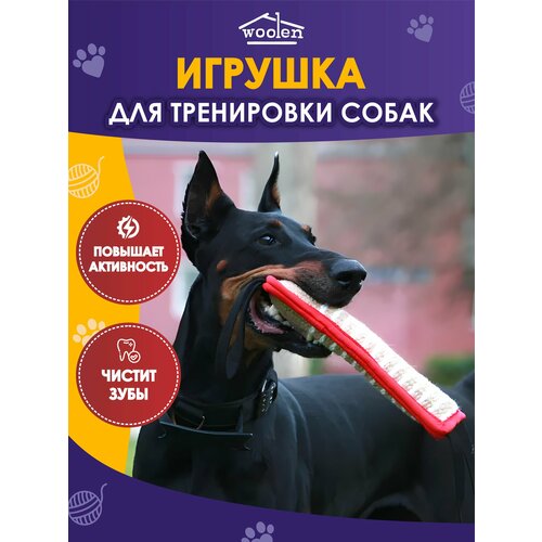 Игрушка палка для дрессировки собак красная фото