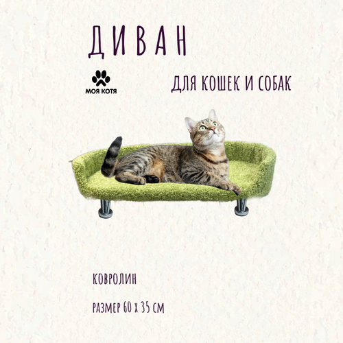 Лежанка для кошек и собак Моя Котя фисташковая фото