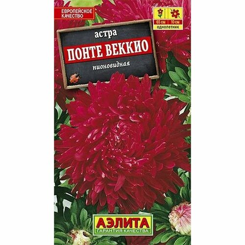 Семена Астра Понте Веккио, однолетник, (Аэлита) 0,2г фото