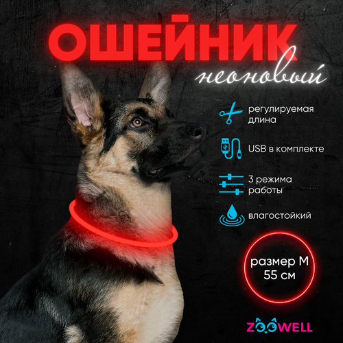 Ошейник светящийся для собак LED, 55 см красный , ZOOWELL фото