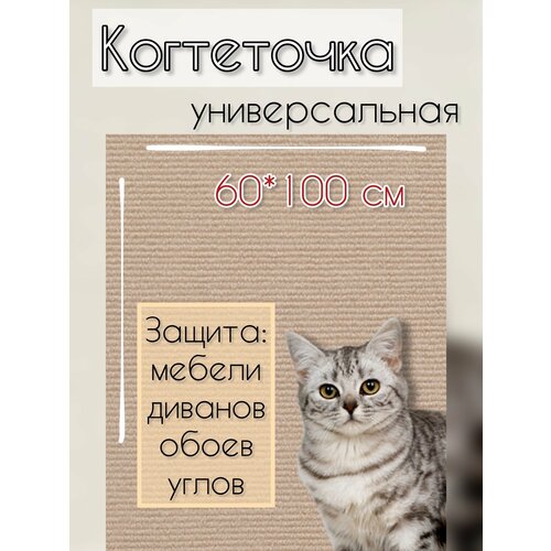 Когтеточка самоклеящаяся для кошек фото