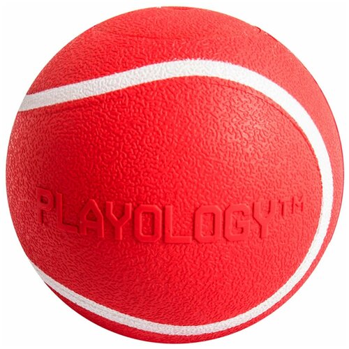 Playology хрустящий жевательный мяч SQUEAKY CHEW BALL 6 см с пищалкой и с ароматом говядины, красный фото