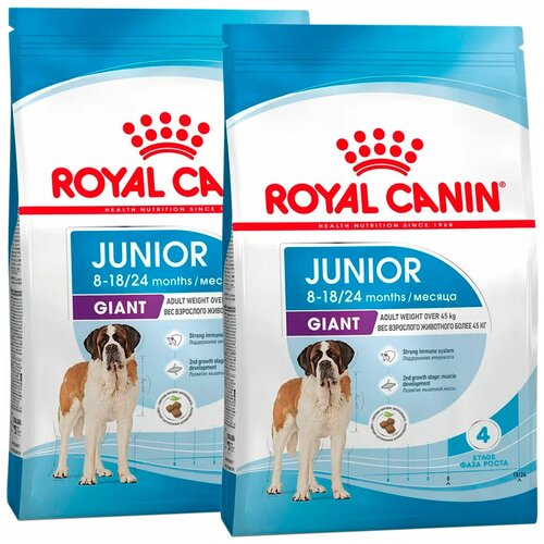 ROYAL CANIN GIANT JUNIOR для щенков крупных пород (3,5 + 3,5 кг) фото