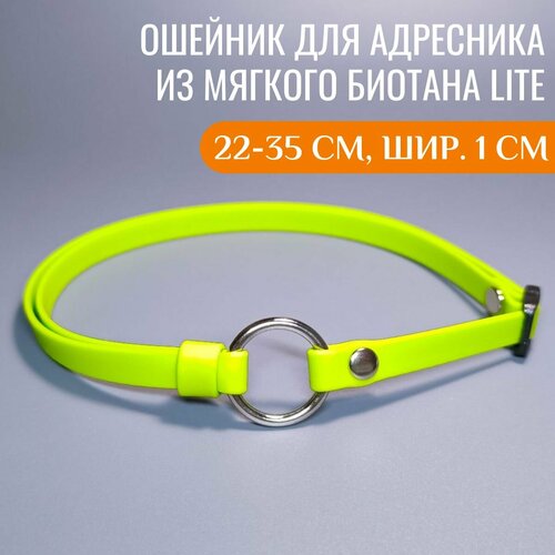 R-Dog Тонкий ошейник из мягкого биотана Lite для адресника, цвет зеленое яблоко, 22-35 см, ширина 1 см фото