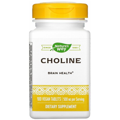 CHOLINE 500mg 100 tabs NW фото