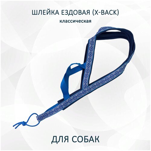 Шлейка ездовая X-Back, классическая 