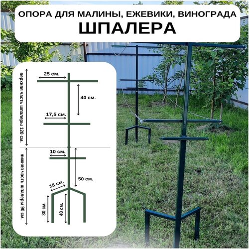 Шпалера для малины, опора для винограда и вьющихся растений фото