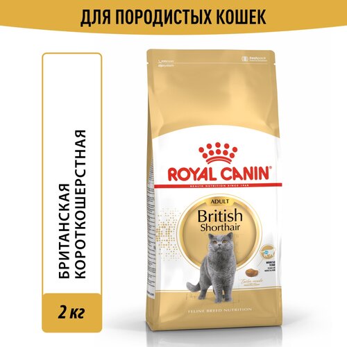 Сухой корм для кошек Royal Canin для британской породы, 2 кг фото