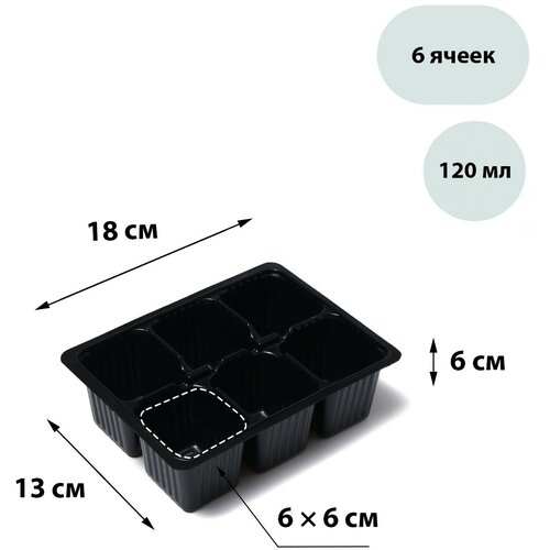 Кассета для рассады Greengo на 6 ячеек, по 120 мл, пластиковая, чёрная, 18 × 13 × 6 см, в наборе 10 шт. фото