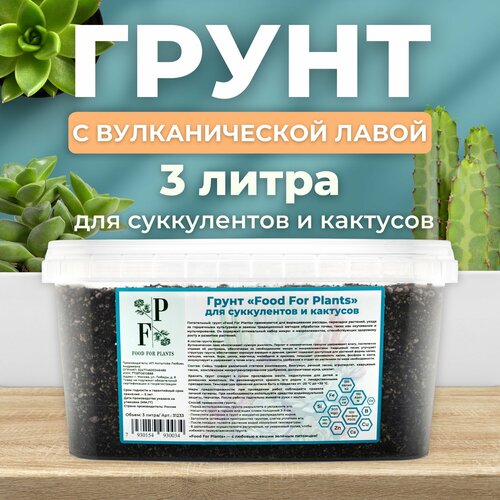 Грунт для суккулентов и кактусов. Субстрат для комнатных растений. фото