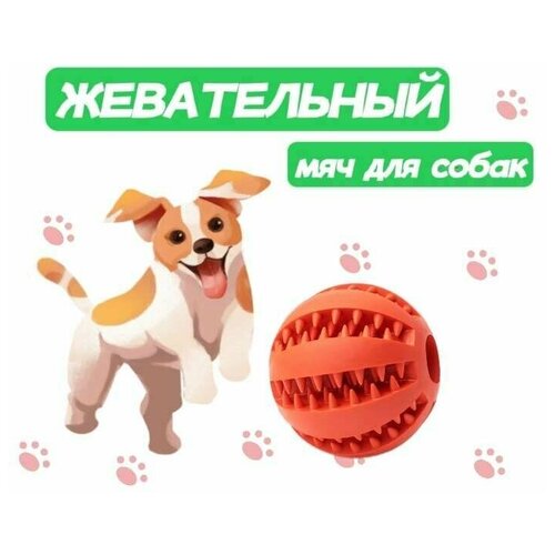 Жевательная игрушка мяч для собак и кошек, шарик для чистки зубов 5см фото