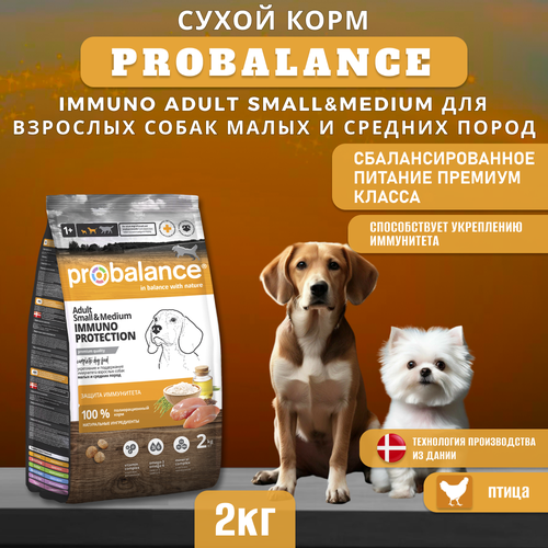 фотография Сухой корм ProBalance Immuno Adult Small&Medium для взрослых собак малых и средних пород, 2 кг, купить за 640р