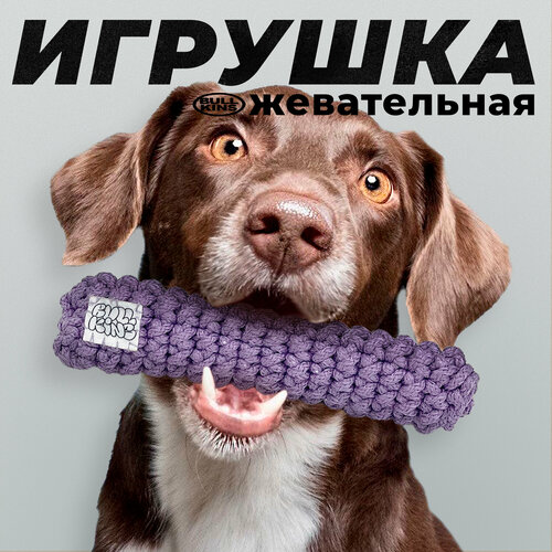 фотография Жевательная игрушка для собак Bullkins мягкая, без синтепонового наполнителя, для чистки зубов, безопасная, для крупных и мелких пород, купить за 600р