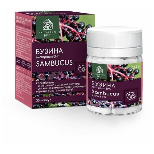 фотография Бузина экстракт ВИС (Sambucus nigra Standardized EXTRACT VIS) капсулы 0,45 г №30, купить за 693р