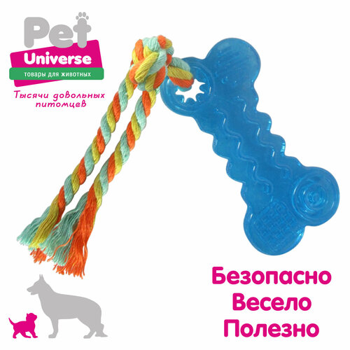 фотография Мини косточка с канатиком Pet Universe. Для щенков и мелких пород 18*4.3 см /PU3006BE, купить за 310р