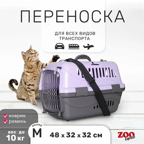 Переноска для животных Zooexpress Турне M с пластиковой дверцей (коврик + ремень) 48*32*32 см фиолетовая фото